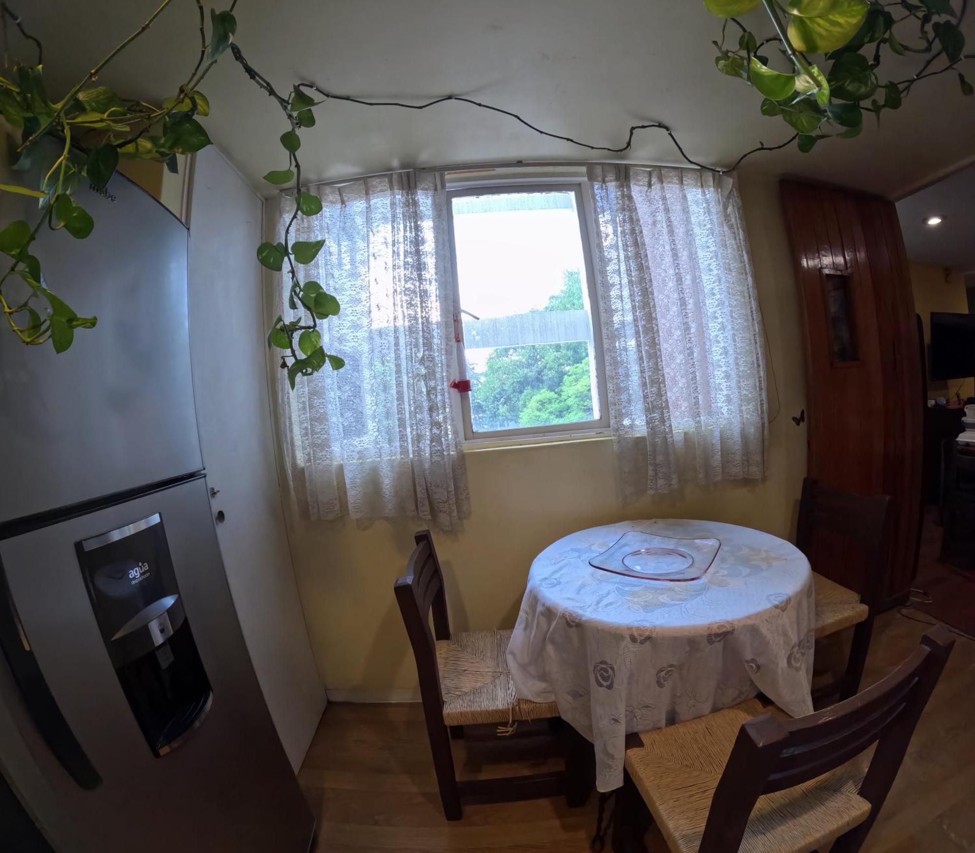 Neighbor Of Frida Khalo, Vintage Stay In Coyoacan Мехико Экстерьер фото